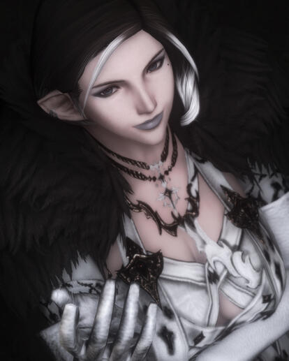 viscountess valรฉrie de fauvinaux